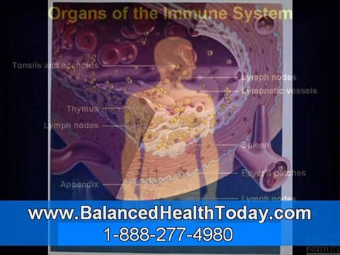 Gallstones, The Gallbladder, Bile, Formation Of Stones Part 2