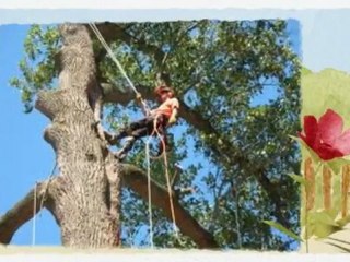 Billy's Affordable Tree Service - (404) 934-2892