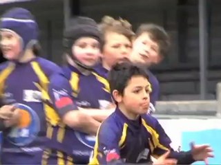 Les Ambassadeurs 2011