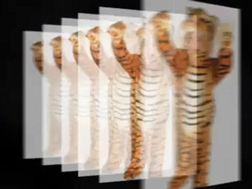 Toddler Costume & Halloween Toddler Costume