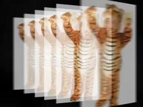 Toddler Costume & Halloween Toddler Costume