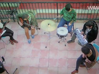 Doble Pletina - Gatitos pequeños