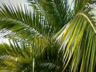 Perdidos Deluxe: Capítulo IV. Buscando comida