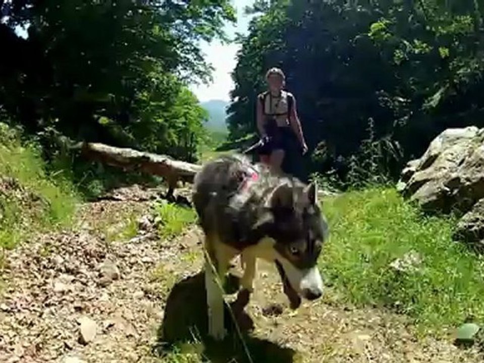 Extrait cani-rando 2012