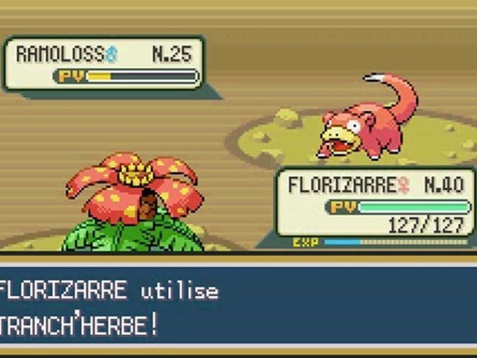 Pokemon vert feuille 9, no item, no catch : La grotte sombre