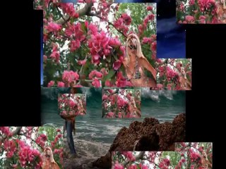 BIG DAY  -   DZIEŃ GORĄCEGO LATA