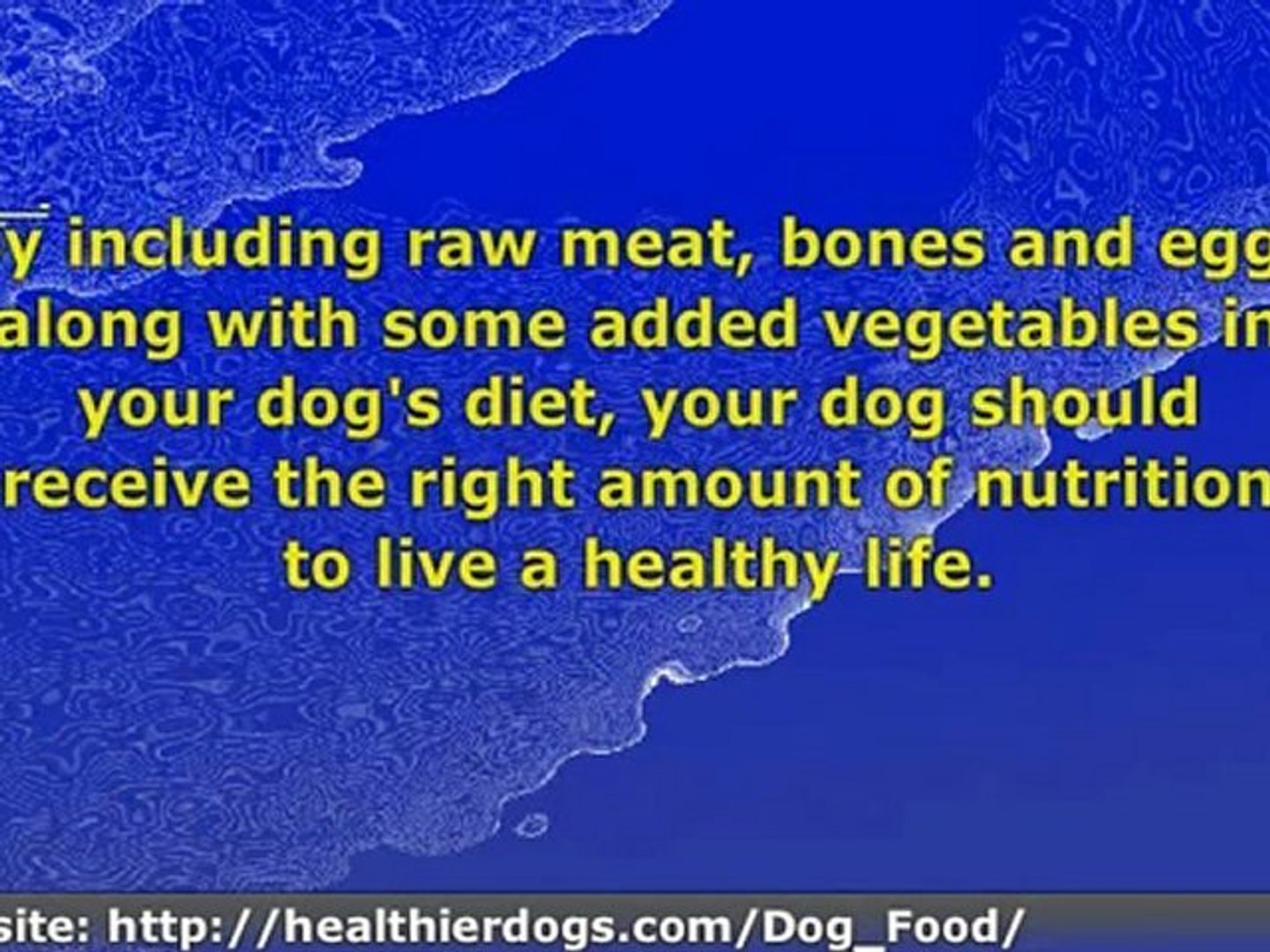 ⁣Dog Information - Natural Dog Food