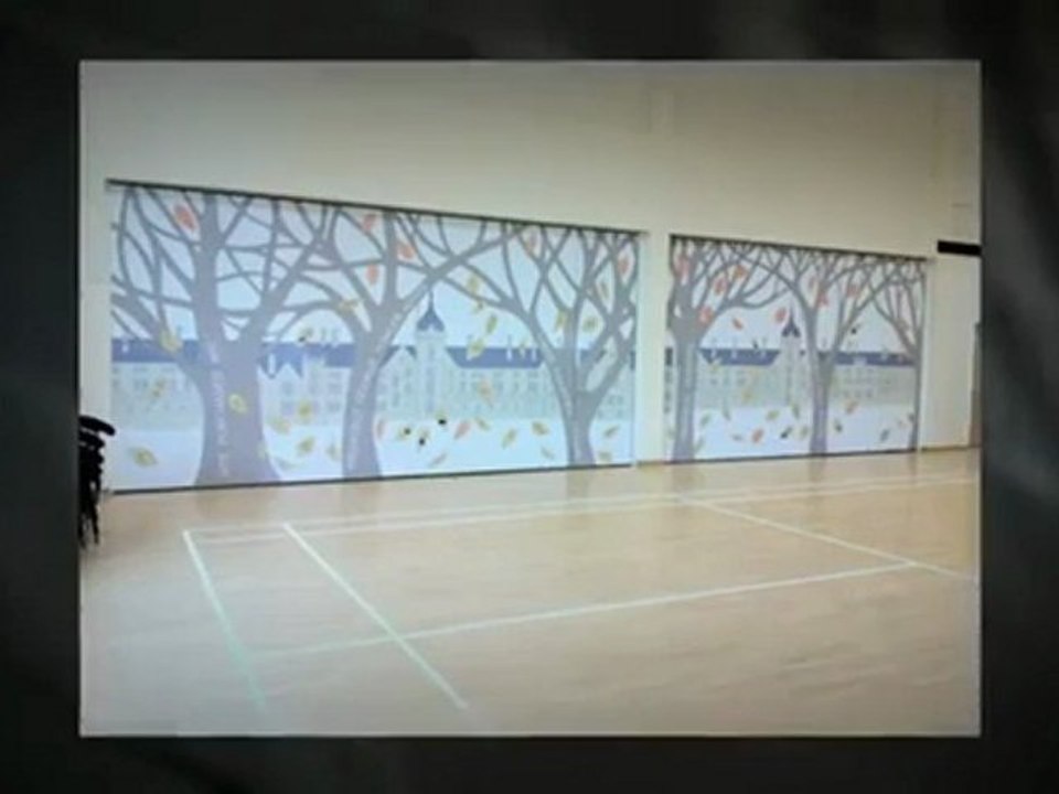 Invicta Window Films - Digital Printing