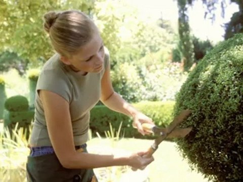 Usługi Ogrodnicze Łódź Chirurgia Drzew M. Kubacki, W. ...