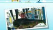 Florida Fishing Guides | Charter Boats : Islamoradafishing