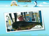 Florida Fishing Guides | Charter Boats : Islamoradafishing