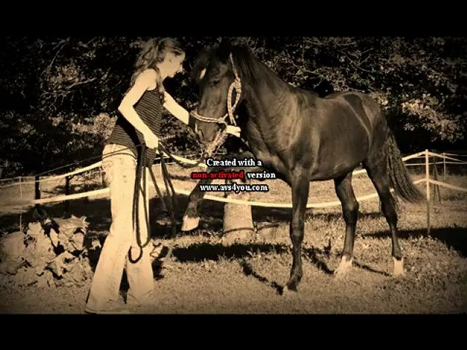 Black Beauty jambette