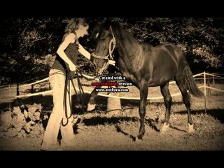 Black Beauty jambette