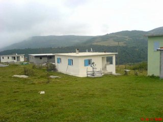 ASLI GÜL ZALİM GURBET