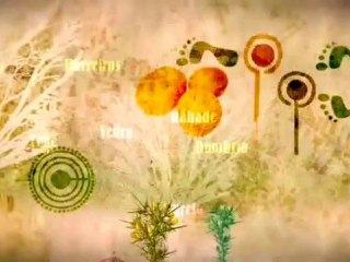 Concello de Xove 2012