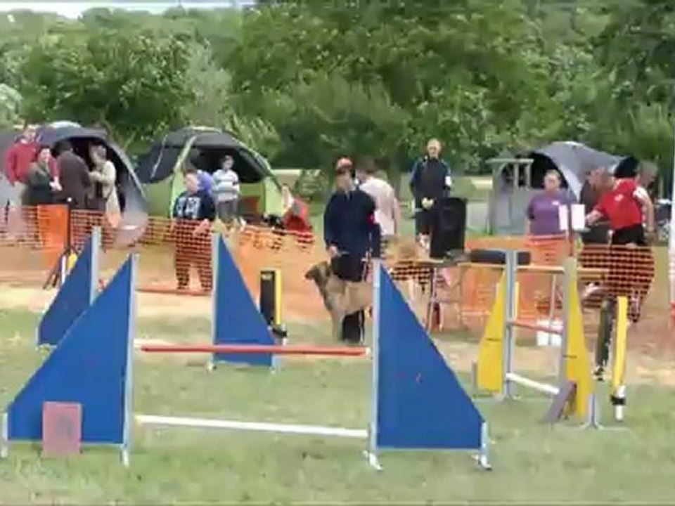 Concours Obernaumen 2012 - Elfie, Eyko et Alizée