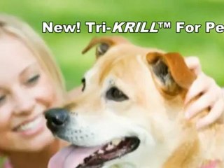 Tri-Krill™ For Pets Availble From NWCNaturals.com Harvested From the Pristine Antarctica