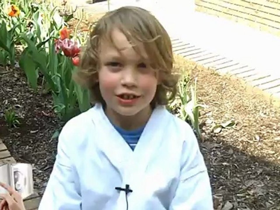 Cute Quinn Tells Knoxville Kids - Take Karate!