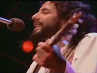 Cat Stevens - Father And Son (live)