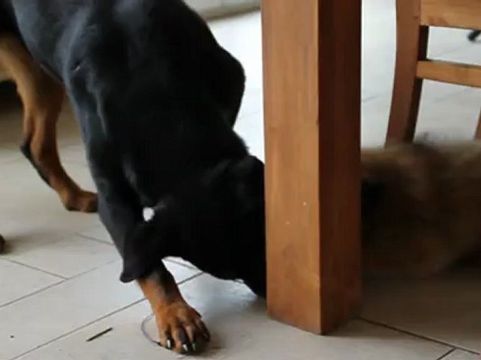 Kendra et Lliangka...premiers "vrais" jeux...