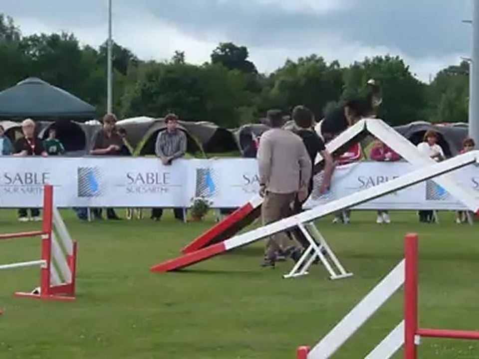 Couac Agility samedi Finale GPF 2012