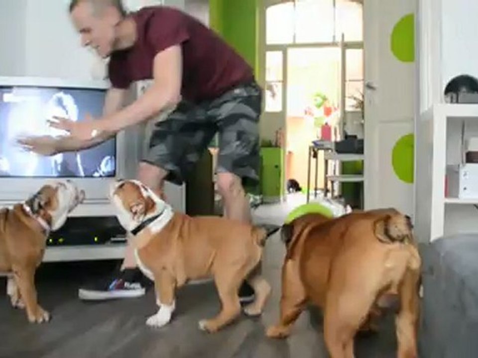 C'est la noubaaaaaaaaaaaaa chez les willems !