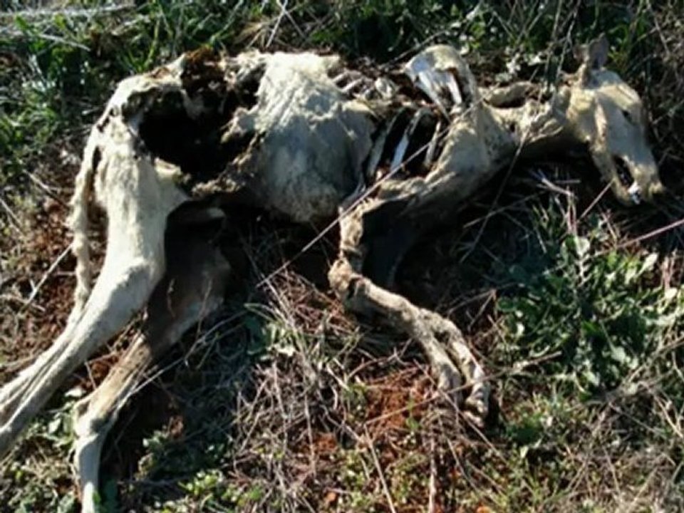 Julienshateblog Youtube