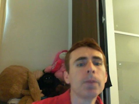 Wiwi égratigne burning in the skies de Linkin' Park