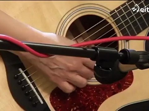 Luthea Salom - Black piece of paper - Jungla Sonoran galdu naiz