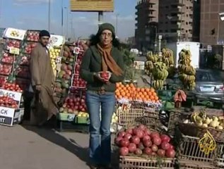 استعداد القليوبية للمرحلة الثالثة للانتخابات المصرية