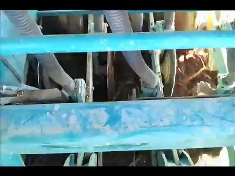 Semis direct sous couvert