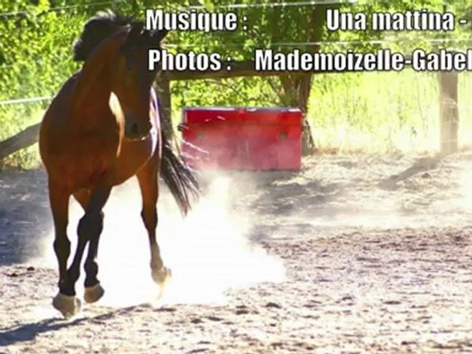 La recette du bonheur, Gabelou & Léa, 11 ans
