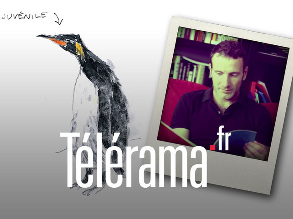 Carnets de Voyage : Christophe Blain au pays des manchots (2/2)