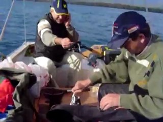 Palamut Balığı Avı