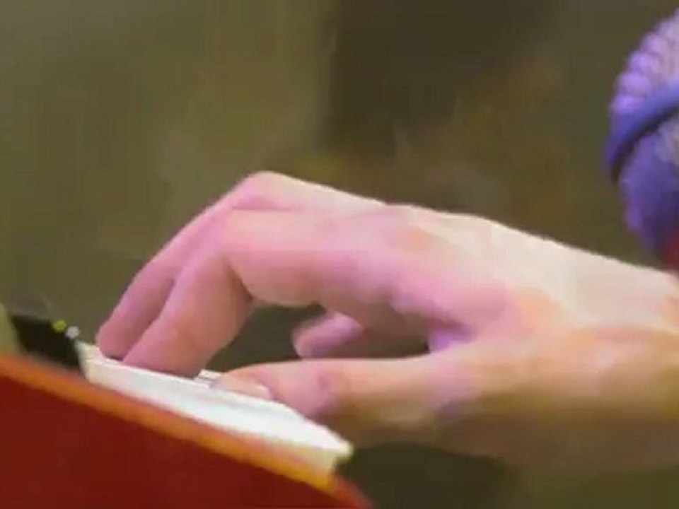 [HD] The Horrors - Changing the Rain@FIB 2012