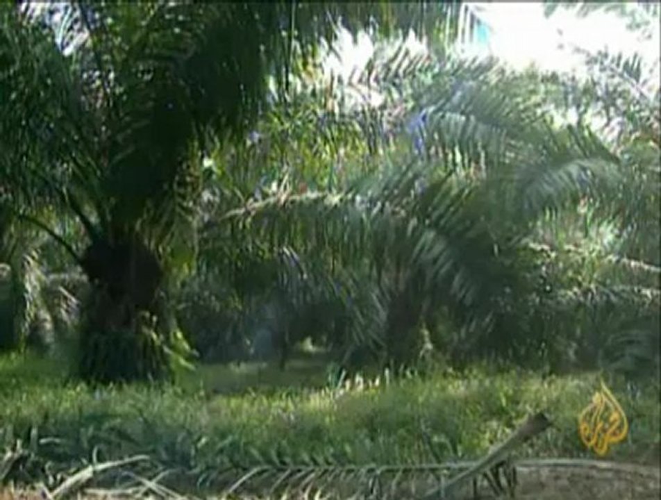 فلاحين إندونيسيا يطالبون بأراضيهم المسلوبة
