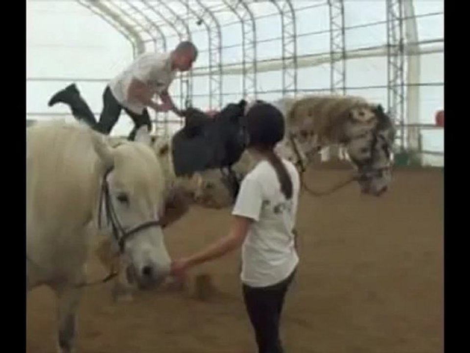 Sauter sur un cheval par derrière