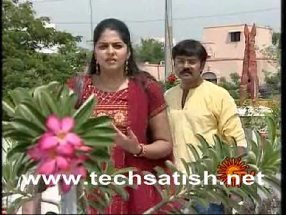 Antha 10 Part 2