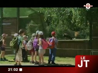 Découverte du gypaète barbu aux Aigles du Léman