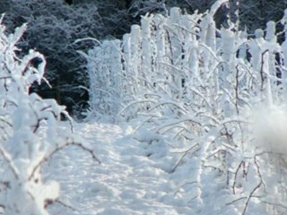 sph pineuilh tessandier mpeg4