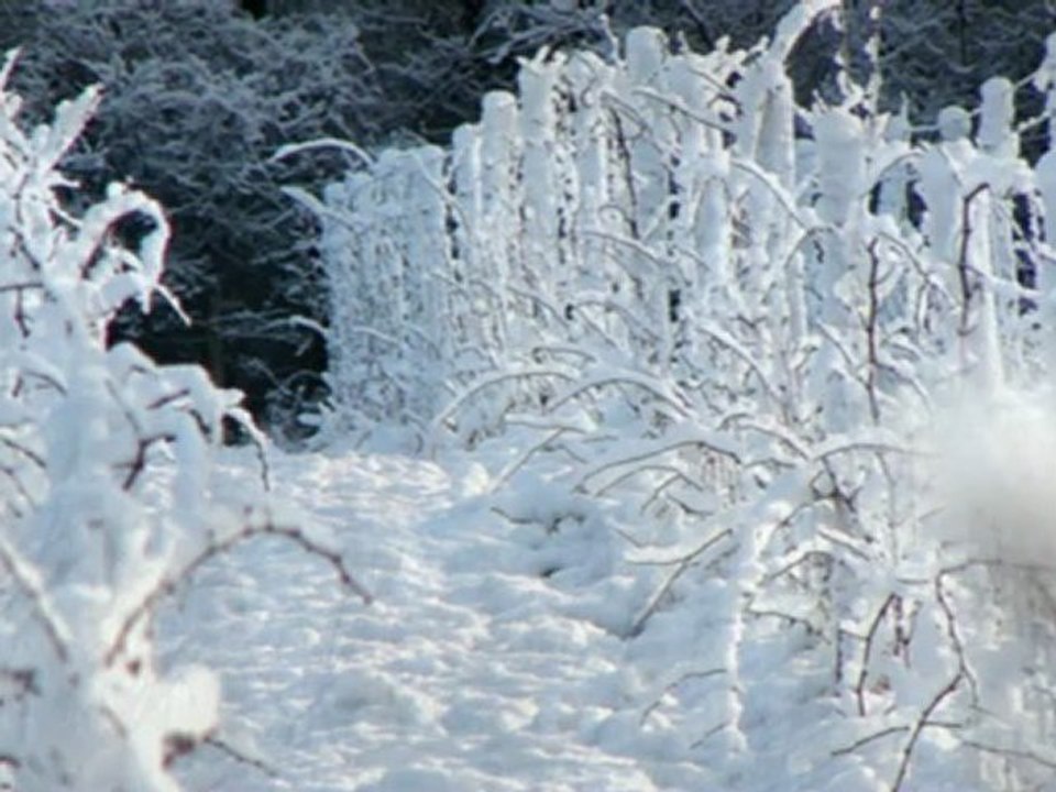 sph pineuilh tessandier mpeg4