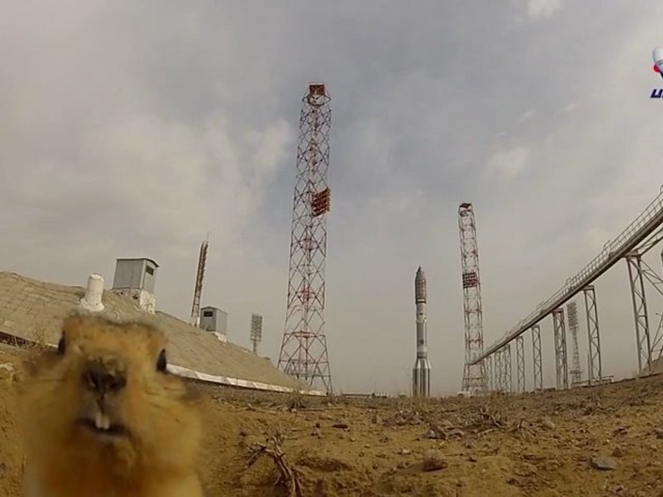 Житель космодрома Байконур.