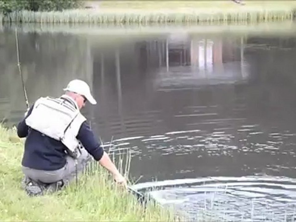 Le lac des estives (cantal)