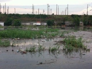 Il sauve un chiot piégé dans une inondation