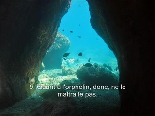 Sourate 93. Le jour montant (Ad-Duha)  Récitation en VO  Traduction en Français FR