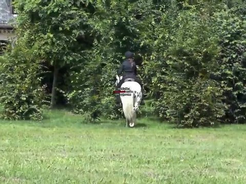 Qualification Loisir Puck sans mors, sans fer, sans arçon 1ère partie