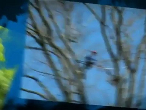 Crecraft for Tree Craft (610) 525-1818