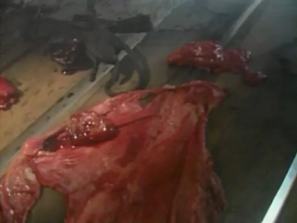 Hellraiser [1987] Rare video release & merchandise concept promo