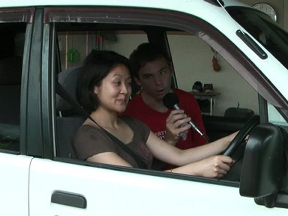 Japanese driver's license / Japanischer Führerschein