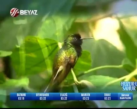 Huzur-u Sahur 20.07.2012